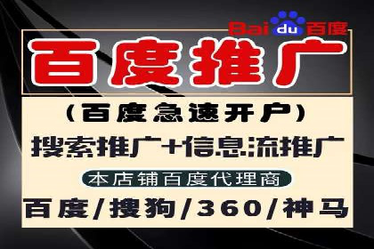 某品牌通过SEM关键词实现品牌推广的实战案例